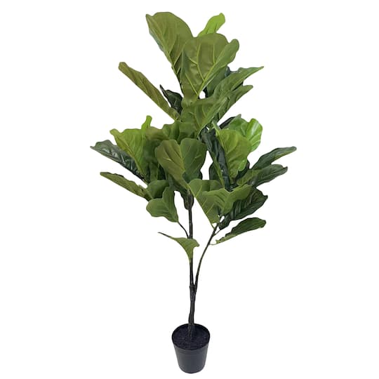 6.4ft. Potted Fiddle Leaf Fig Tree by Ashland®